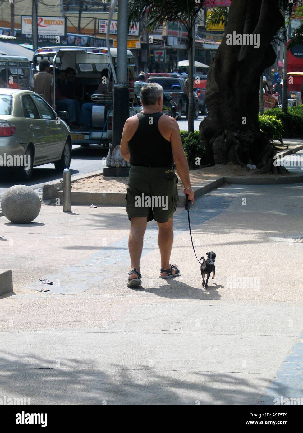 Man walking his Dog along Beach Road in Pattaya Thailand Stock Photo