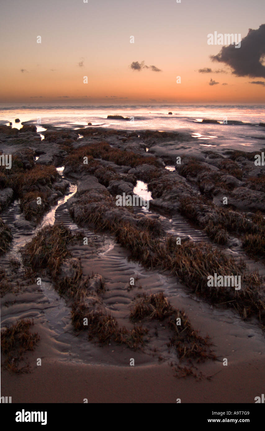 Mudflats at Spurn point. Yorkshire Stock Photo