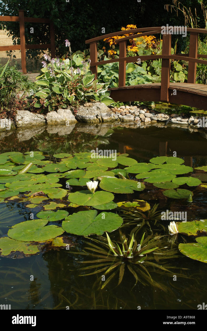 Informal garden pond in summer with a Monet-style wooden bridge, England, UK. Stock Photo