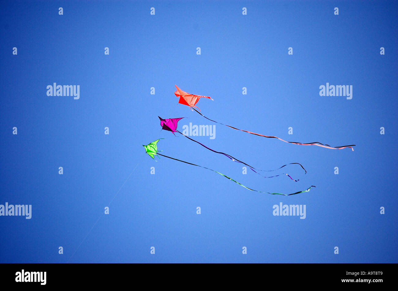 Kite in the sky Stock Photo Alamy