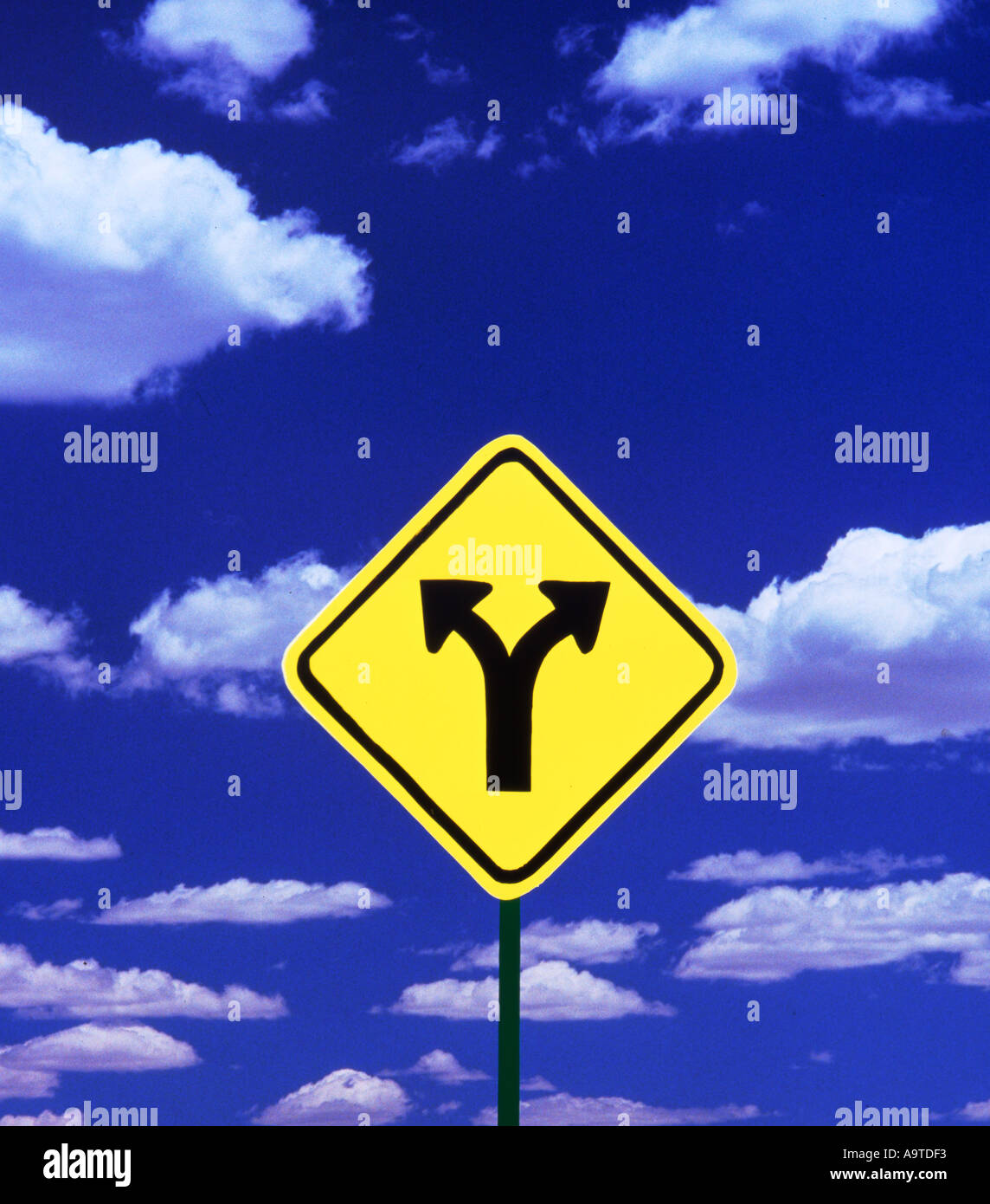 My Image 25