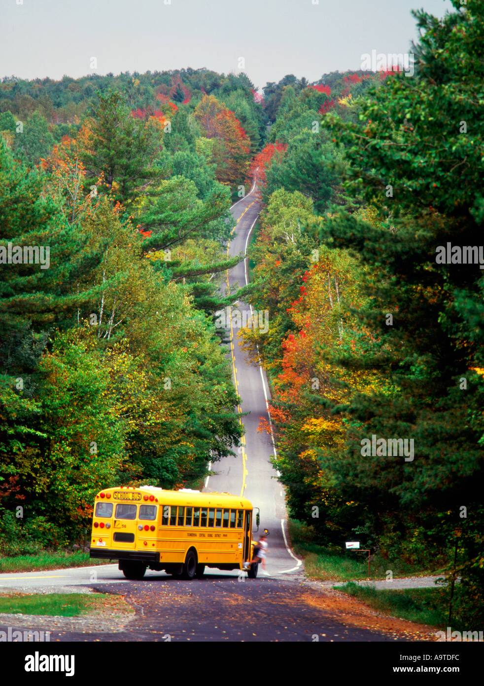 Children getting off school bus hires stock photography and images Alamy