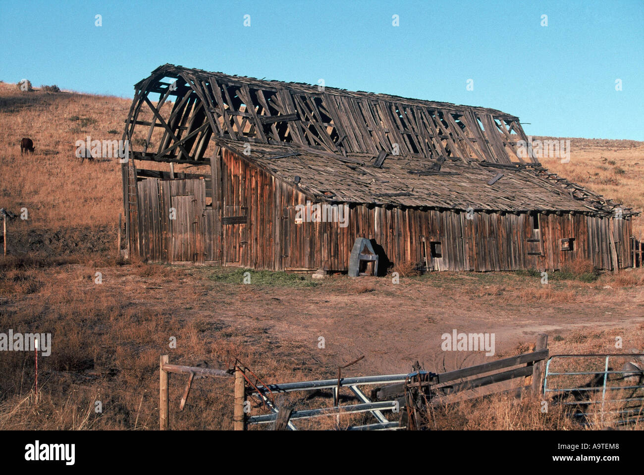 Old Barns, Okanogan County Stock Photo - Alamy