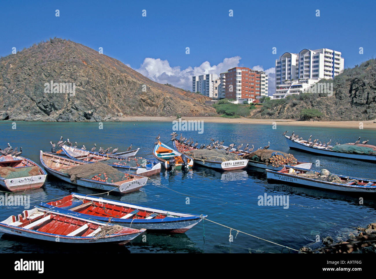 Isla Margarita island Venezuela Porlamar City fishing boats pelicans