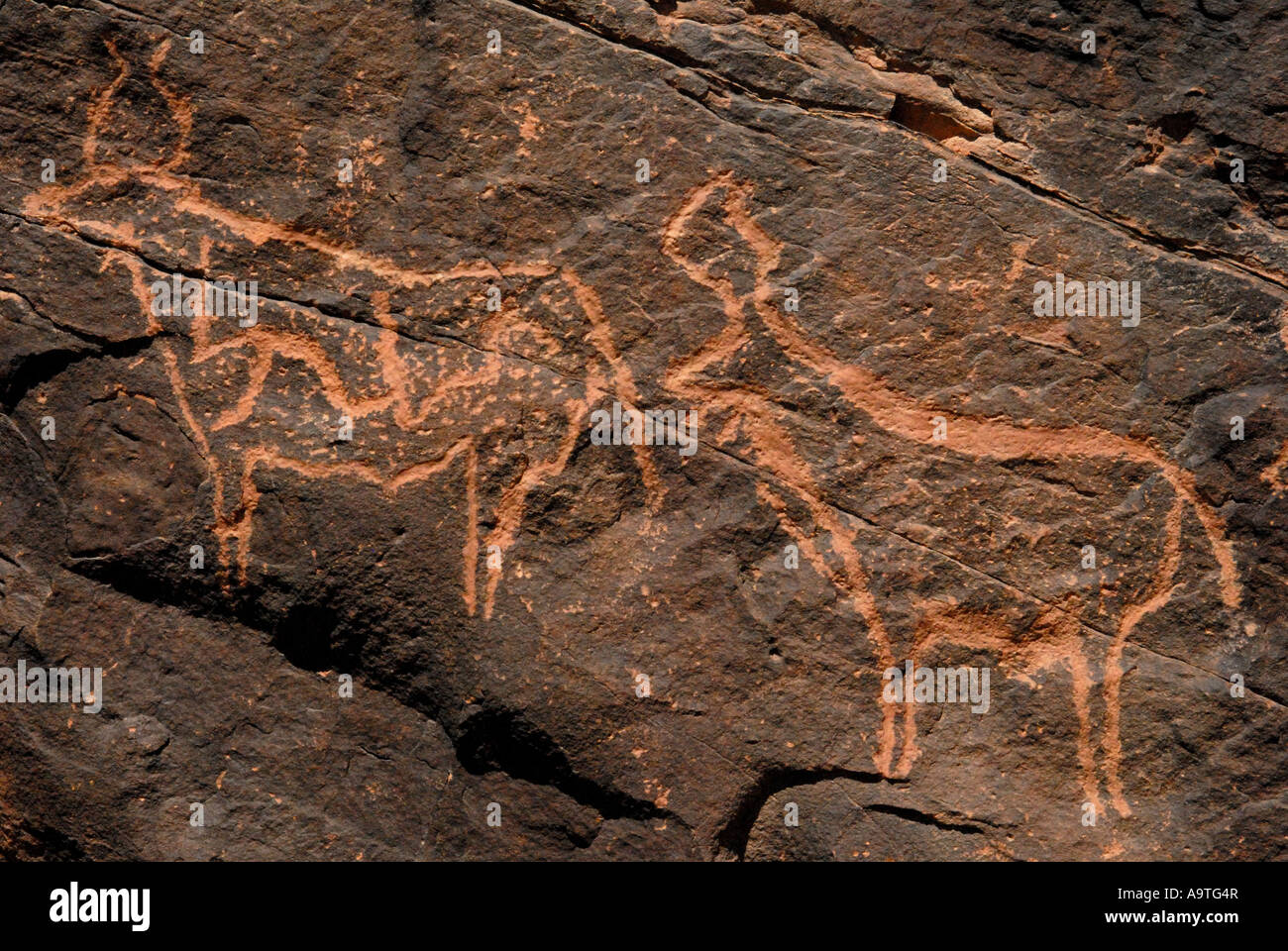 Prehistoric Arts Hi-res Stock Photography And Images - Alamy