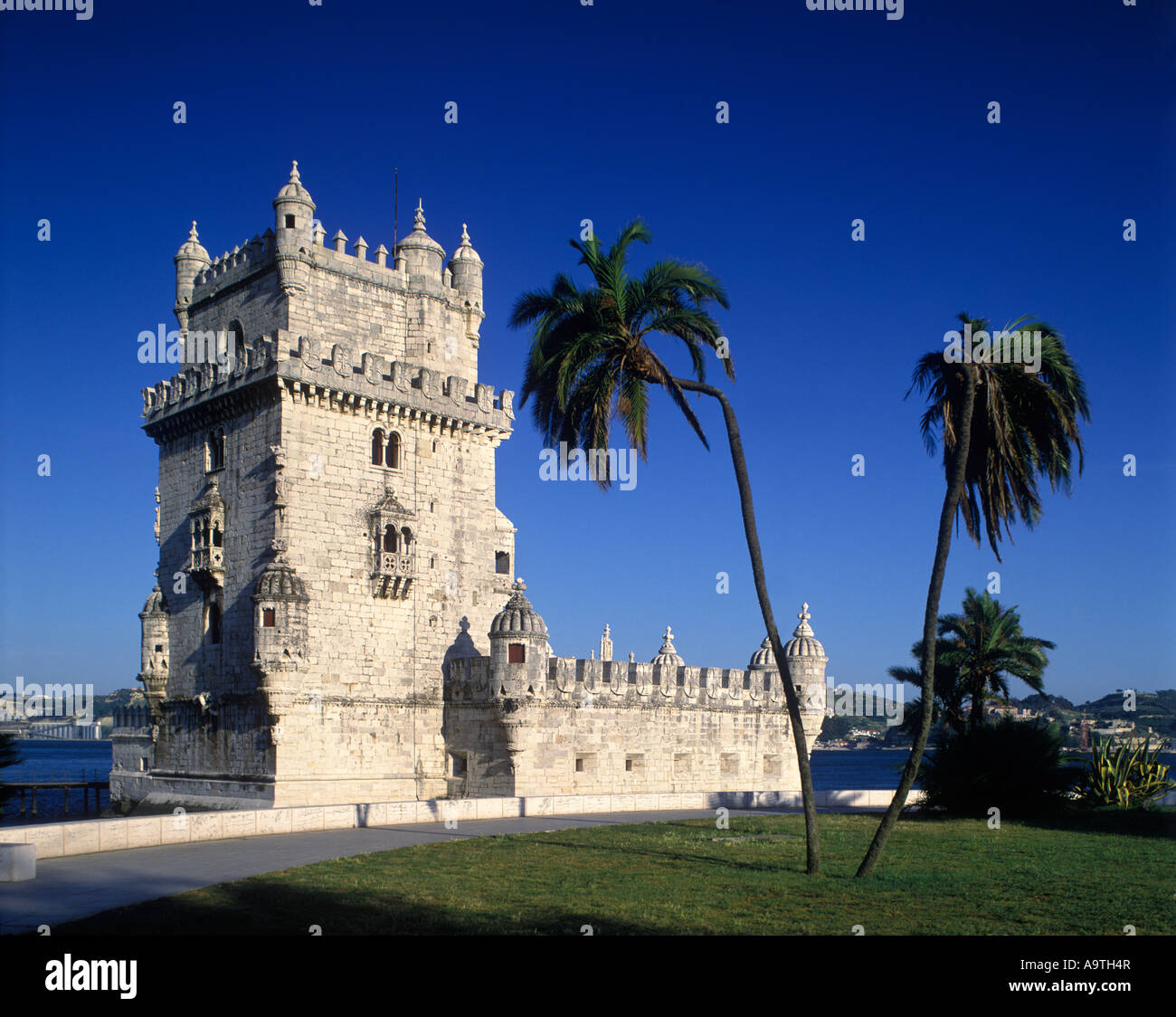 palm-trees-belem-tower-gardens-lisbon-portugal-stock-photo-alamy