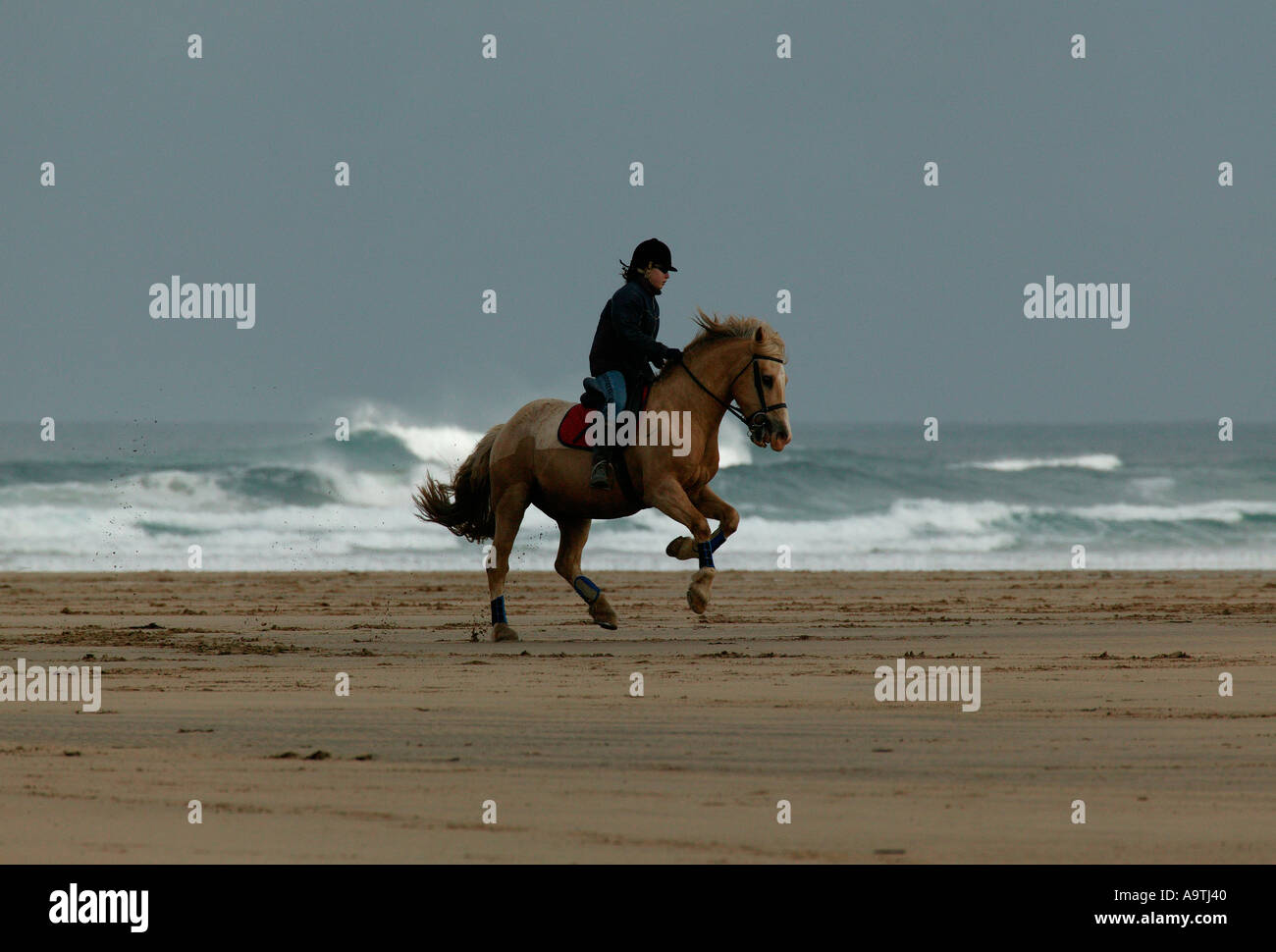 Horse and rider on Perranporth Beach Stock Photo