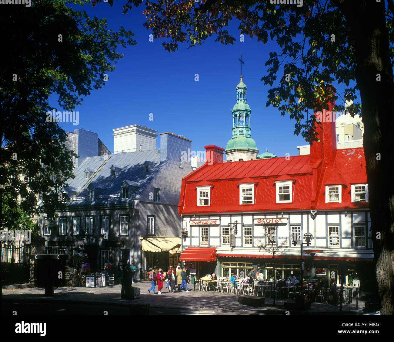 My Image 30