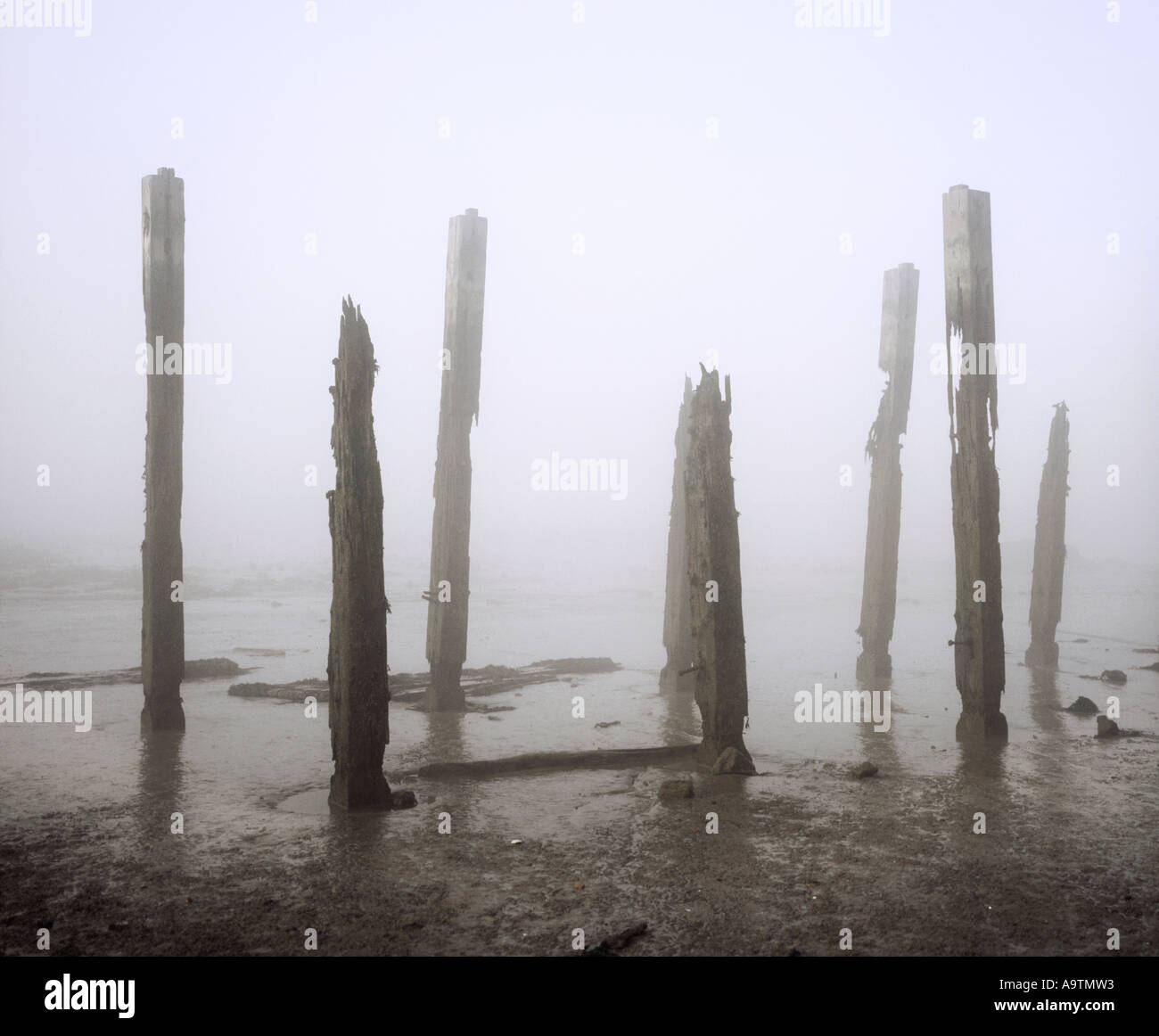 broken old jetty legs on the river Thames Estaury Cliffe Battery kent Stock Photo