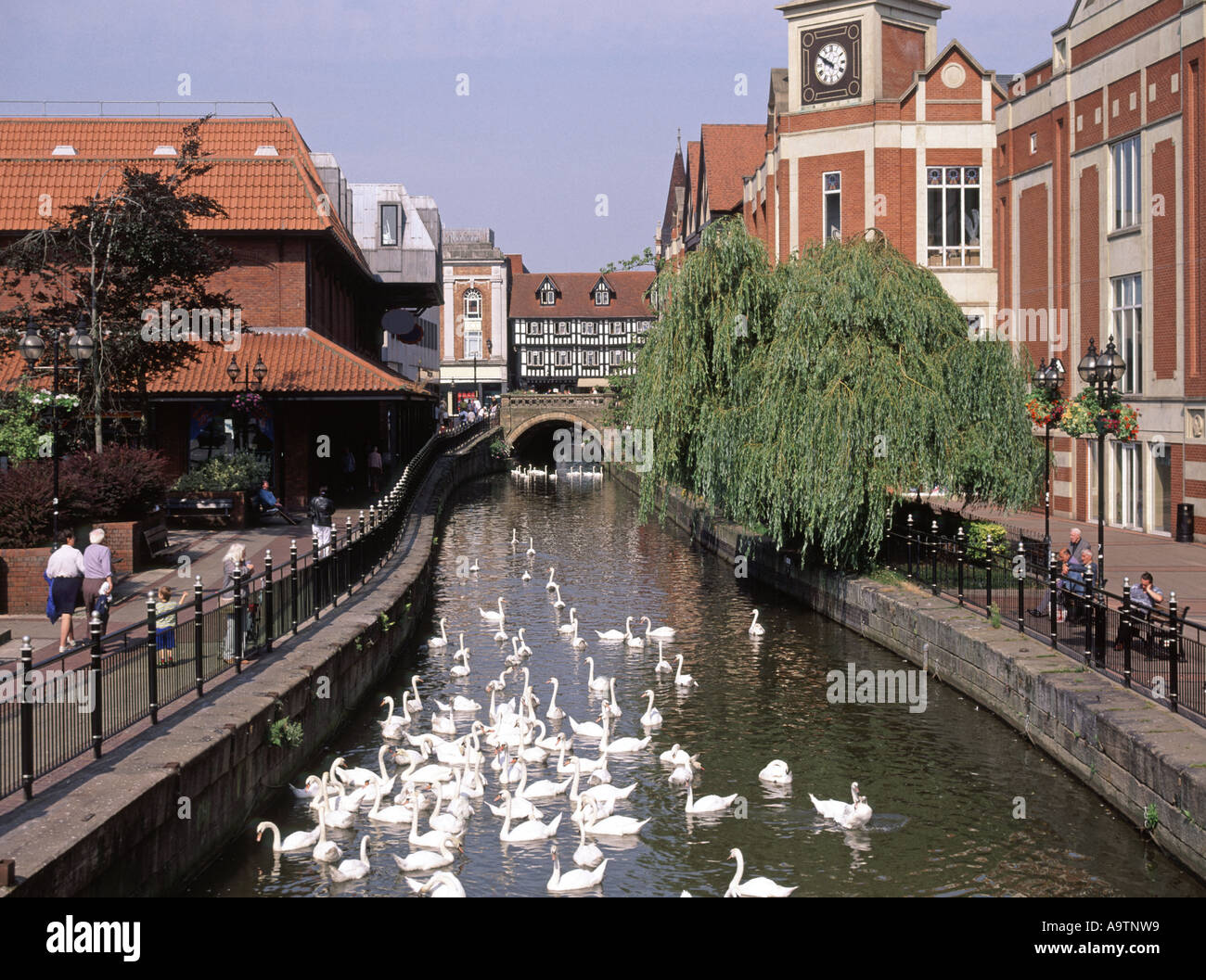 Lincoln the Waterside Centre modern shopping stores flanking the river Witham with swans and the High Bridge beyond Stock Photo