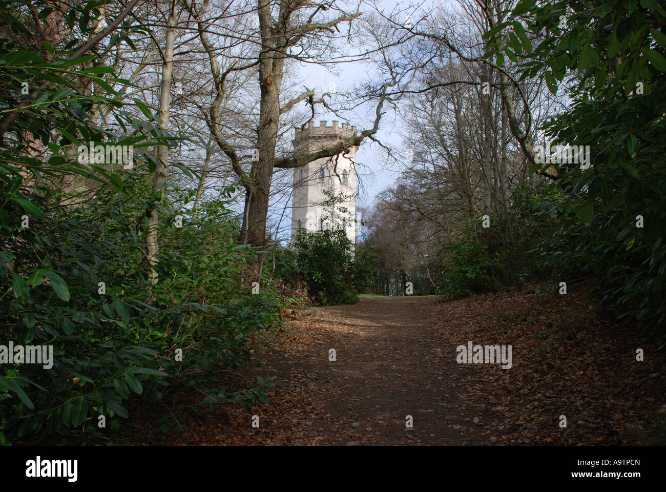 Nelson's Tower, summit of Cluny Hill, Grant Park, Forres, Moray