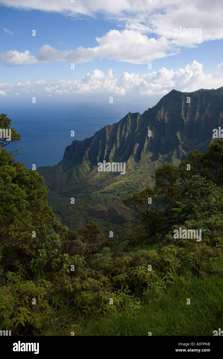 Kalalau Valley from Kokee Kauai Hawaii Stock Photo Alamy