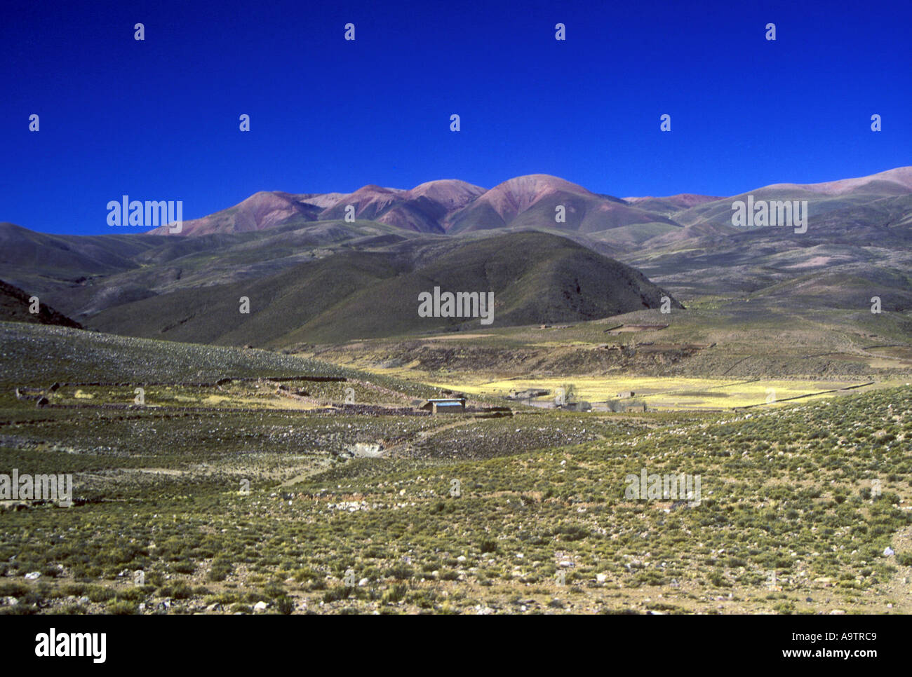 Puna landscape in Northern Argentina Stock Photo Alamy