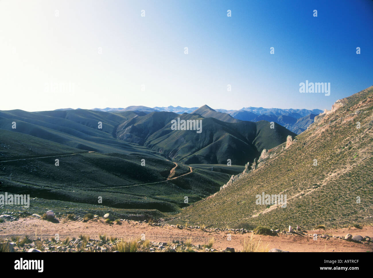 Puna landscape in Northern Argentina Stock Photo Alamy
