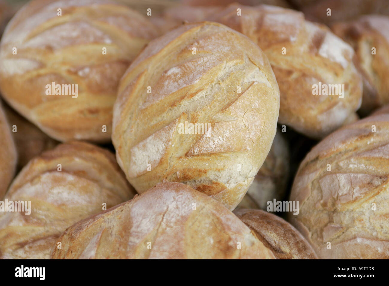 rustic boule fresh french bread Stock Photo Alamy