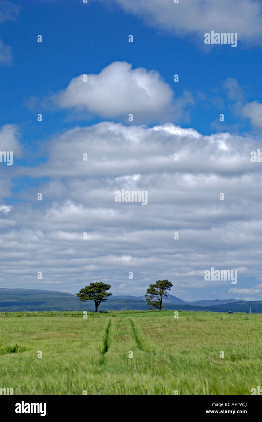Shandwick, Easter Ross and Cromarty. Stock Photo