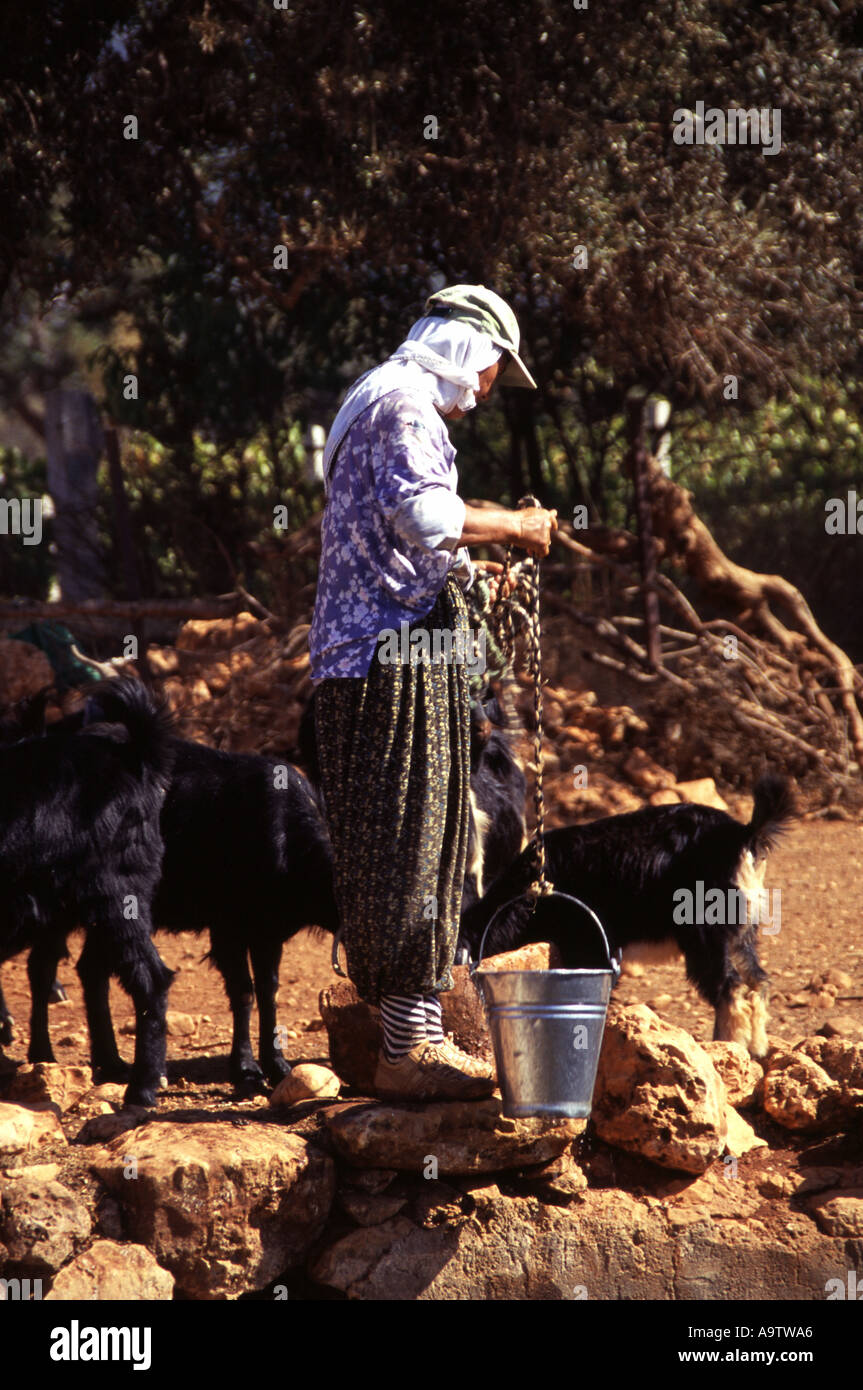 Woman providing water for her goats from a well Turkey Stock Photo