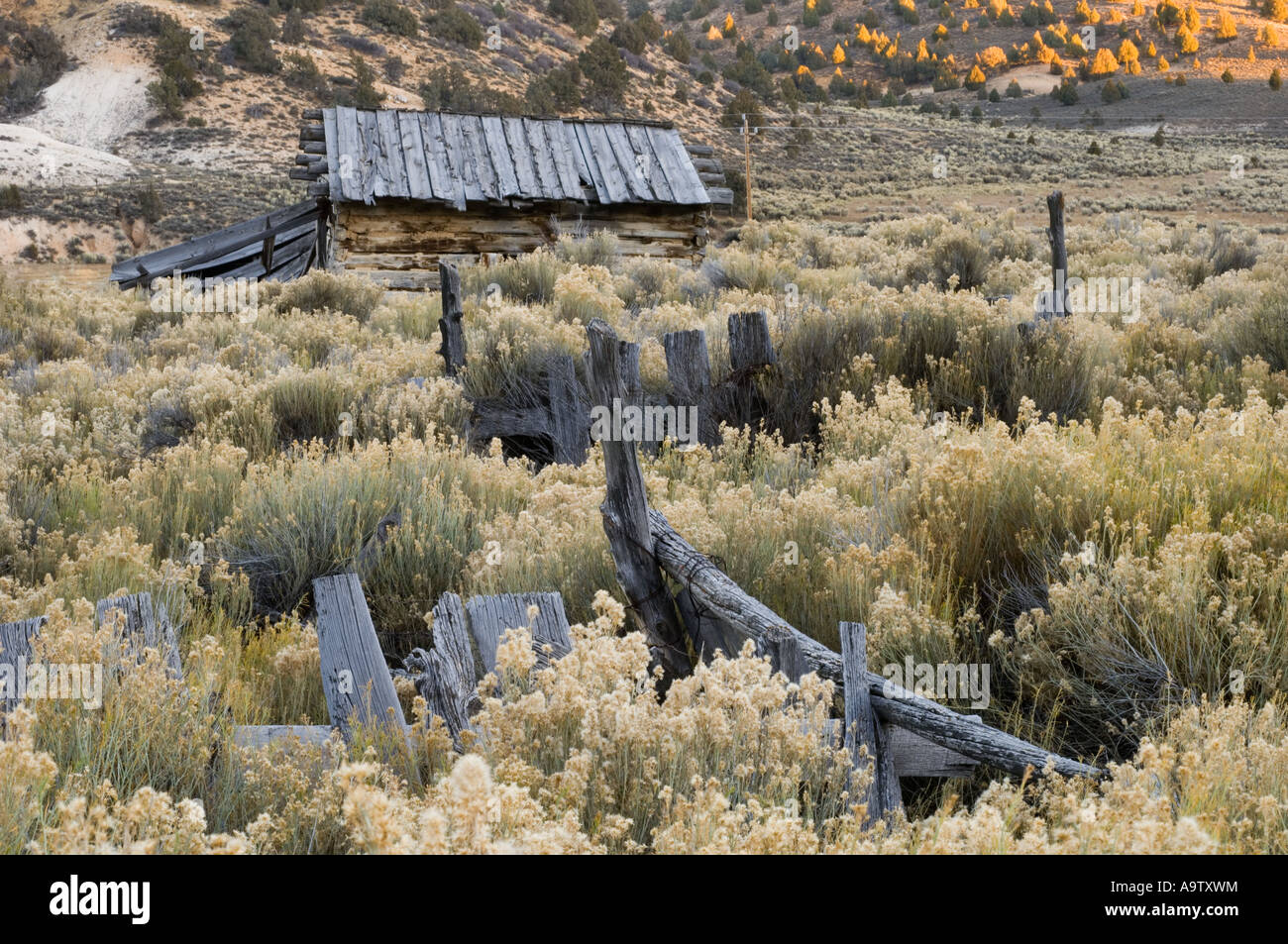 Abandoned house in sagebrush country Utah Stock Photo - Alamy