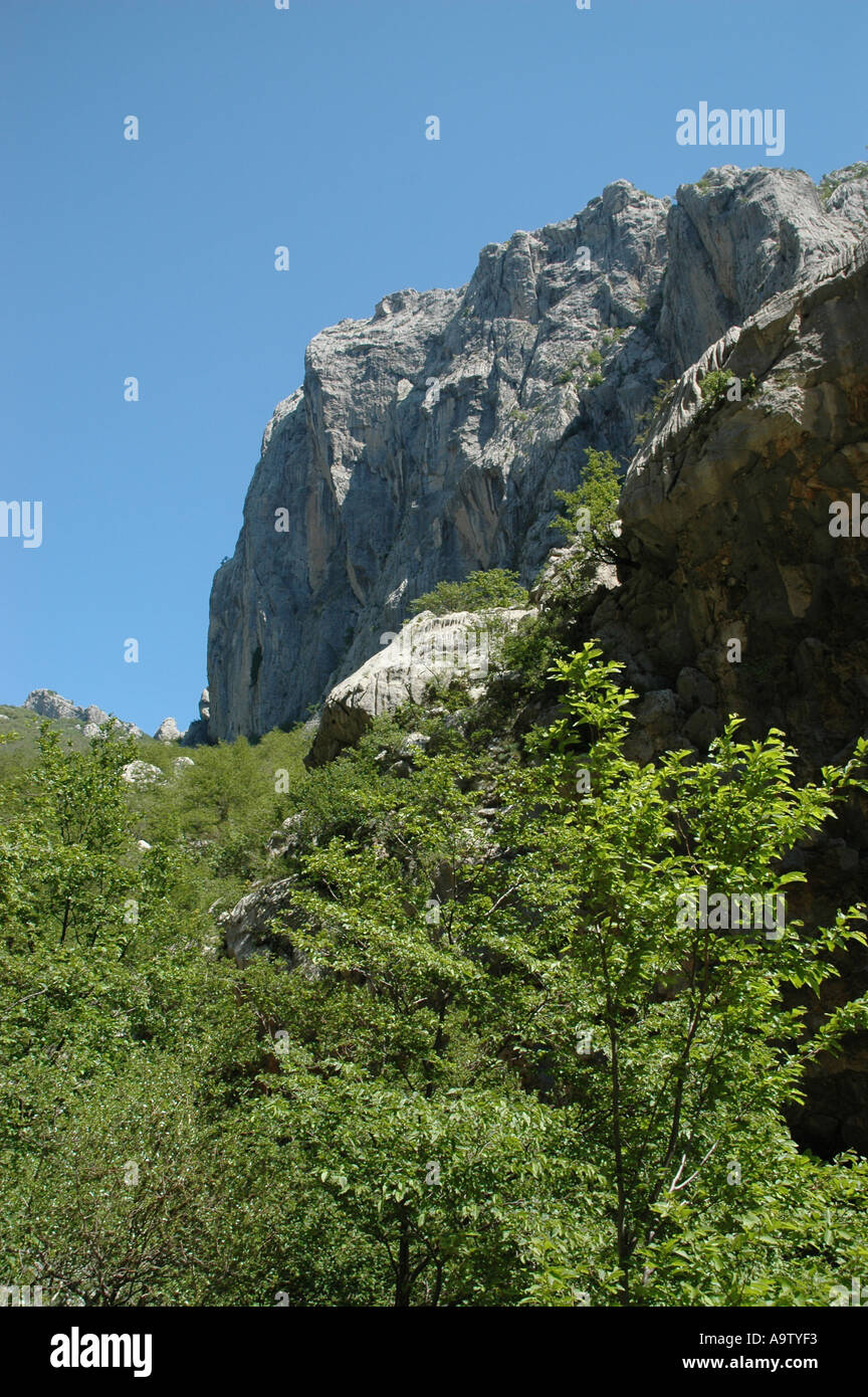 limestone wall for freeclimbing Velebit Mountains Paklenica National Park Croatia Stock Photo