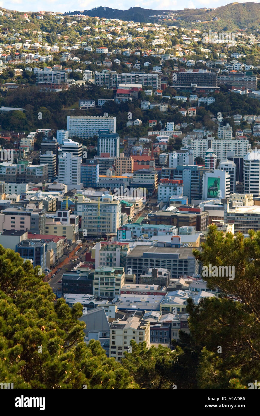 View of the city of Wellington New Zealand Stock Photo