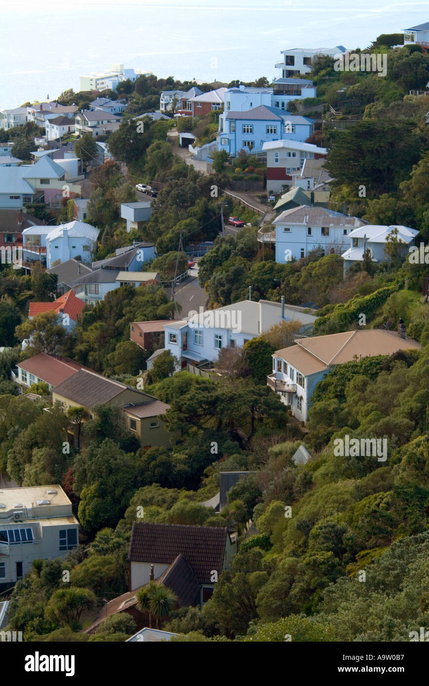 Houses on Mount Victoria Wellington New Zealand Stock Photo