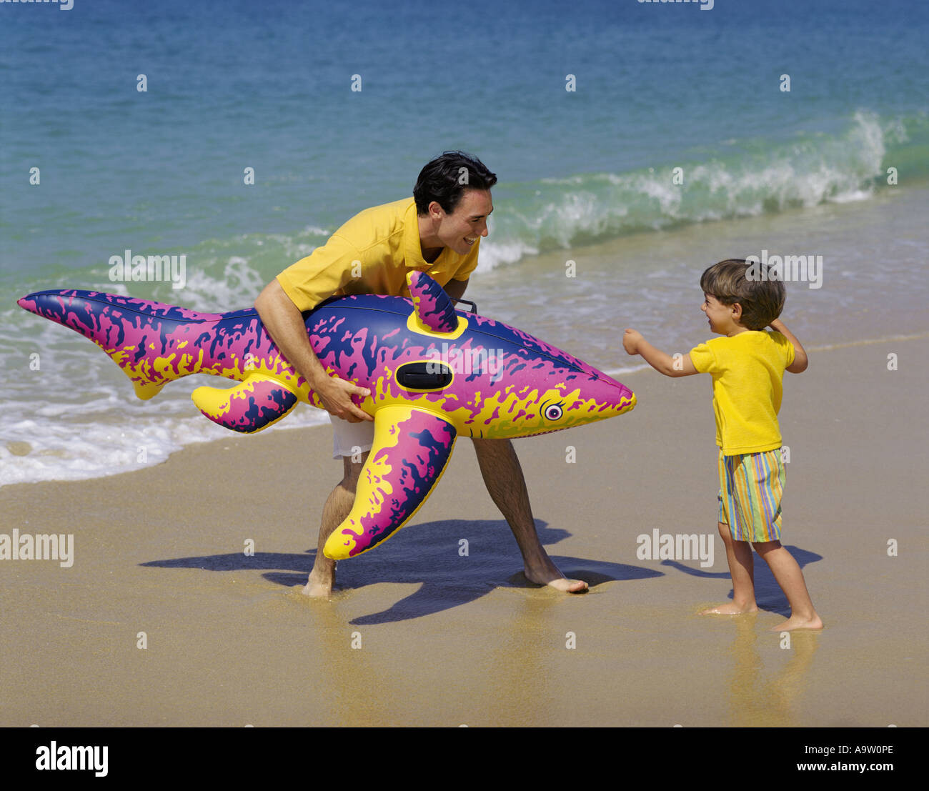 Shark safe beach hi-res stock photography and images - Alamy