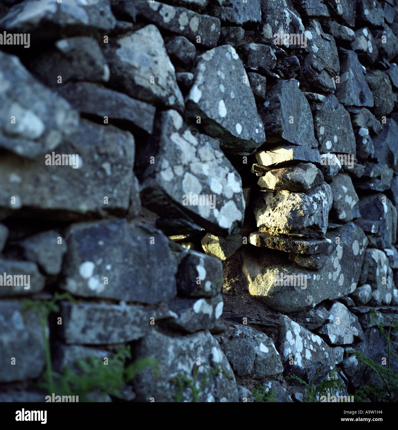 Sunlight shines through a gap in an old wall in North wales. Stock Photo