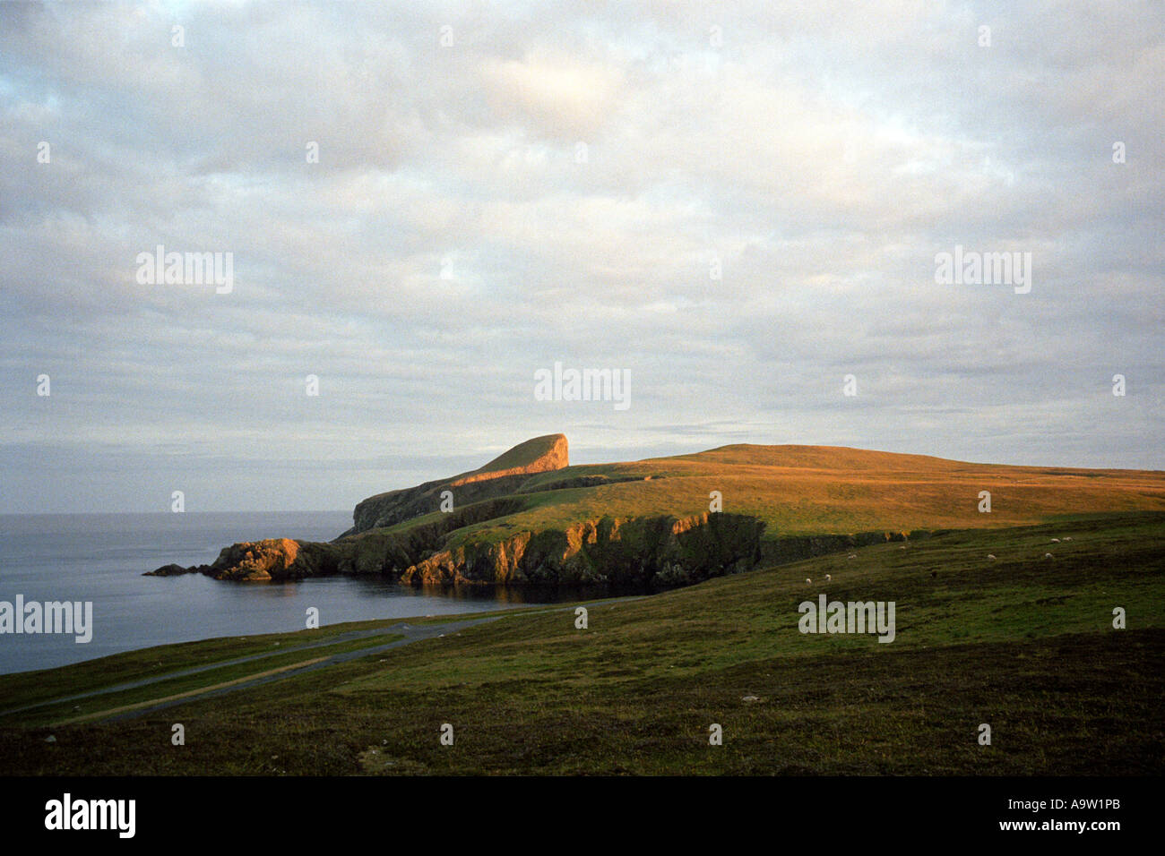 The view towards 'sheep rock' accross the North shore of Fair Isle off Northern Scotland Stock Photo