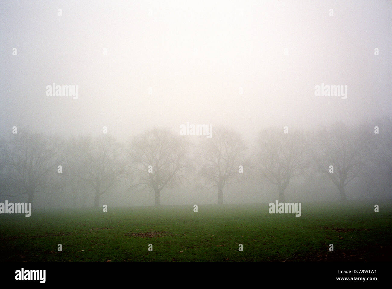 Misty shrouds hi-res stock photography and images - Alamy