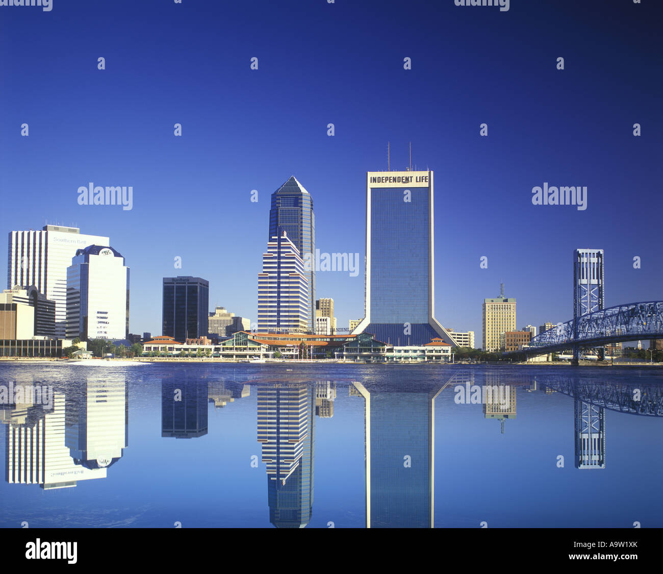 My Image 7