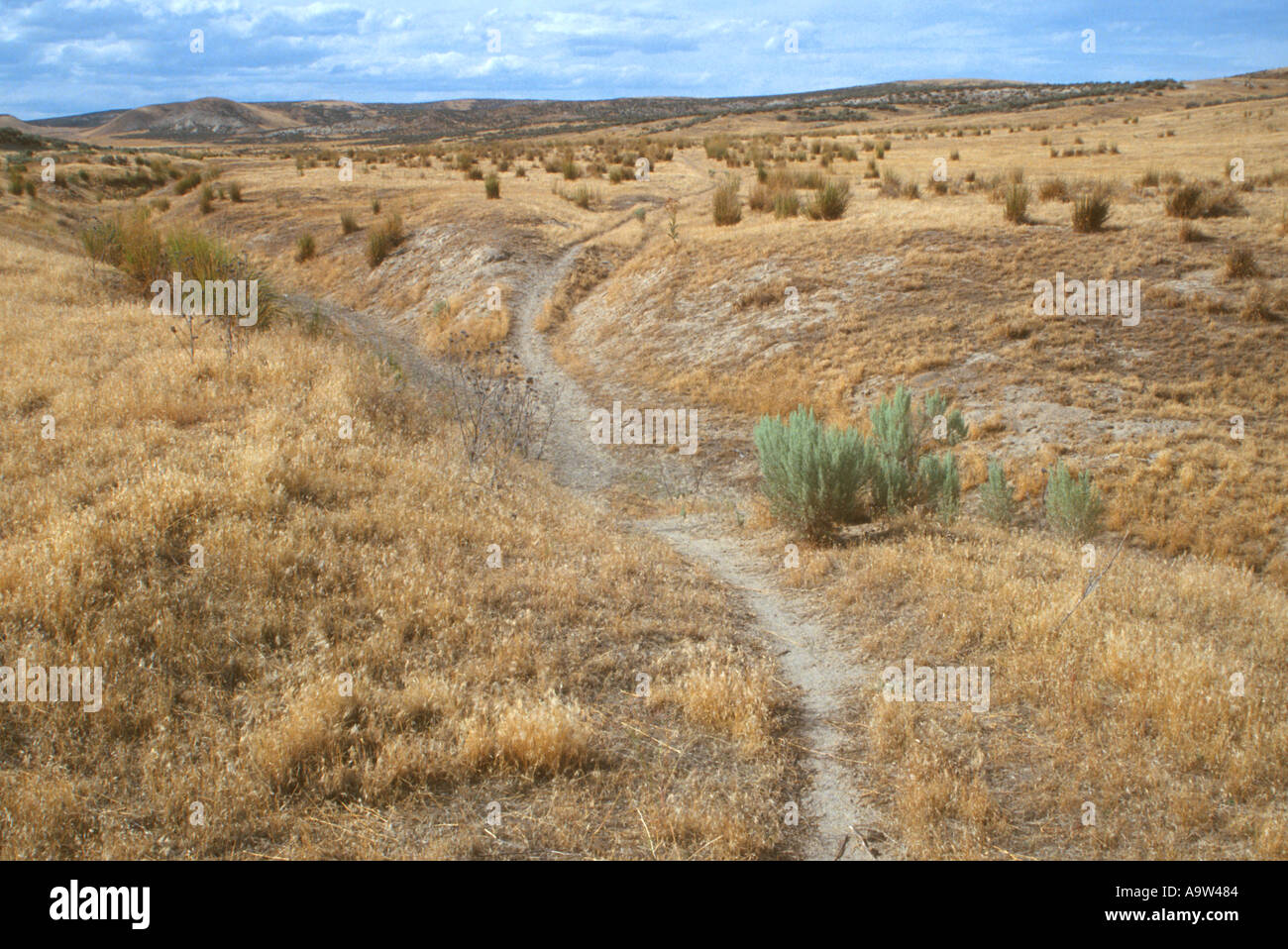 wagon ruts on Oregon Trail running through dry wash Keeney Pass Vale Oregon 158701 Stock Photo