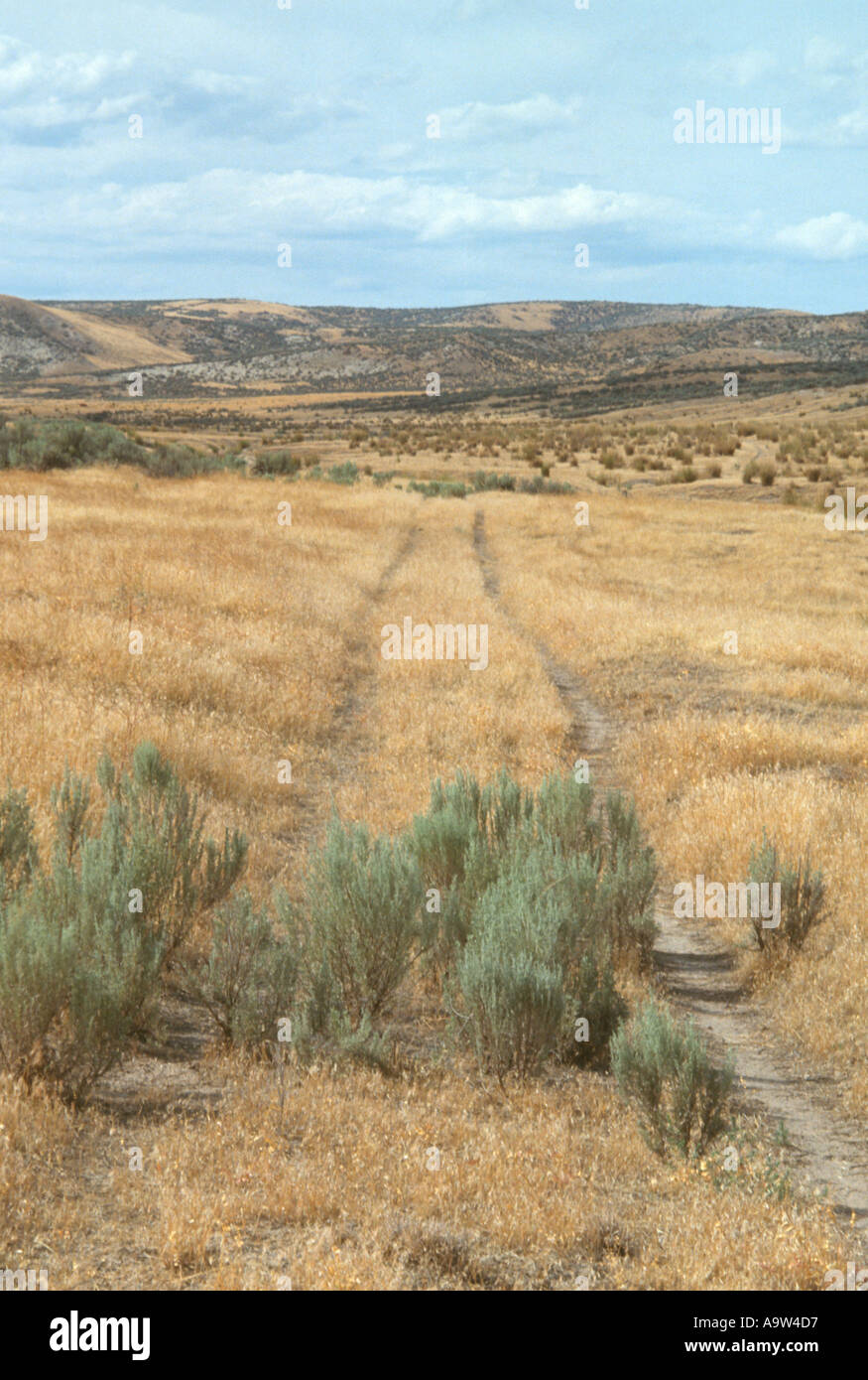 old wagon ruts on Oregon Trail Keeney Pass Vale Oregon 159273 Stock