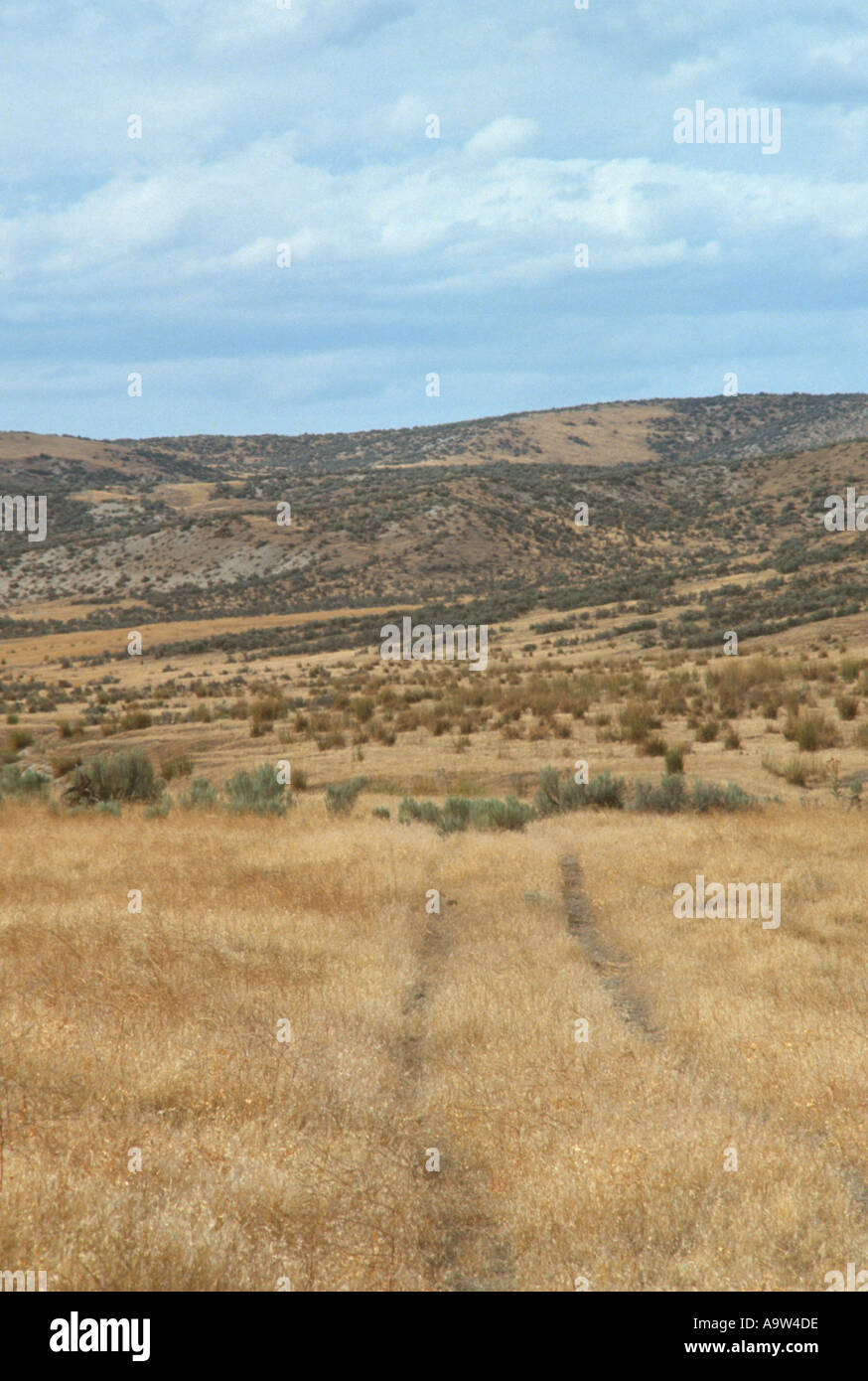 old wagon ruts on Oregon Trail Keeney Pass Vale Oregon 159278 Stock Photo Alamy