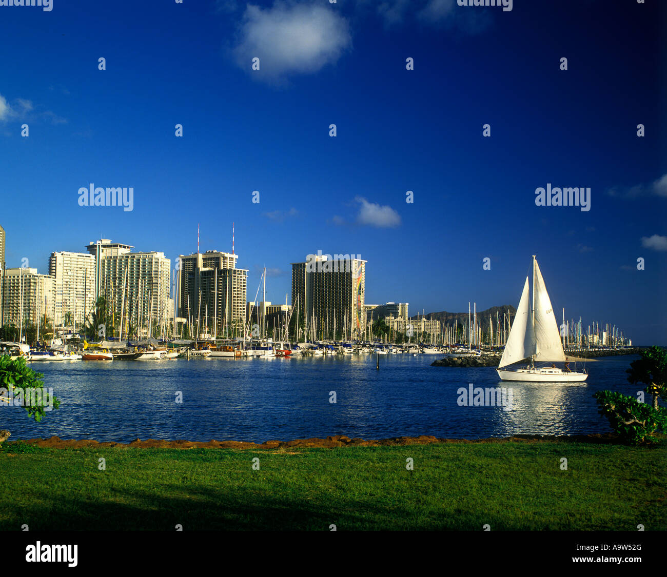 ALA WAI YACHT CLUB WAIKIKI SKYLINE HONOLULU HAWAII USA Stock Photo Alamy