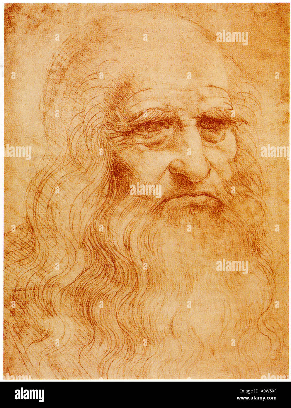 Leonardo da vinci self portrait hires stock photography and images Alamy