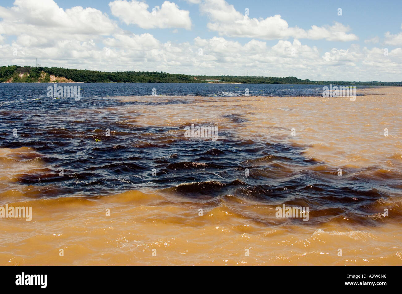 Small Yellow From Rio Meeting of the waters confluence of the yellow brown Rio Solimoes and ...