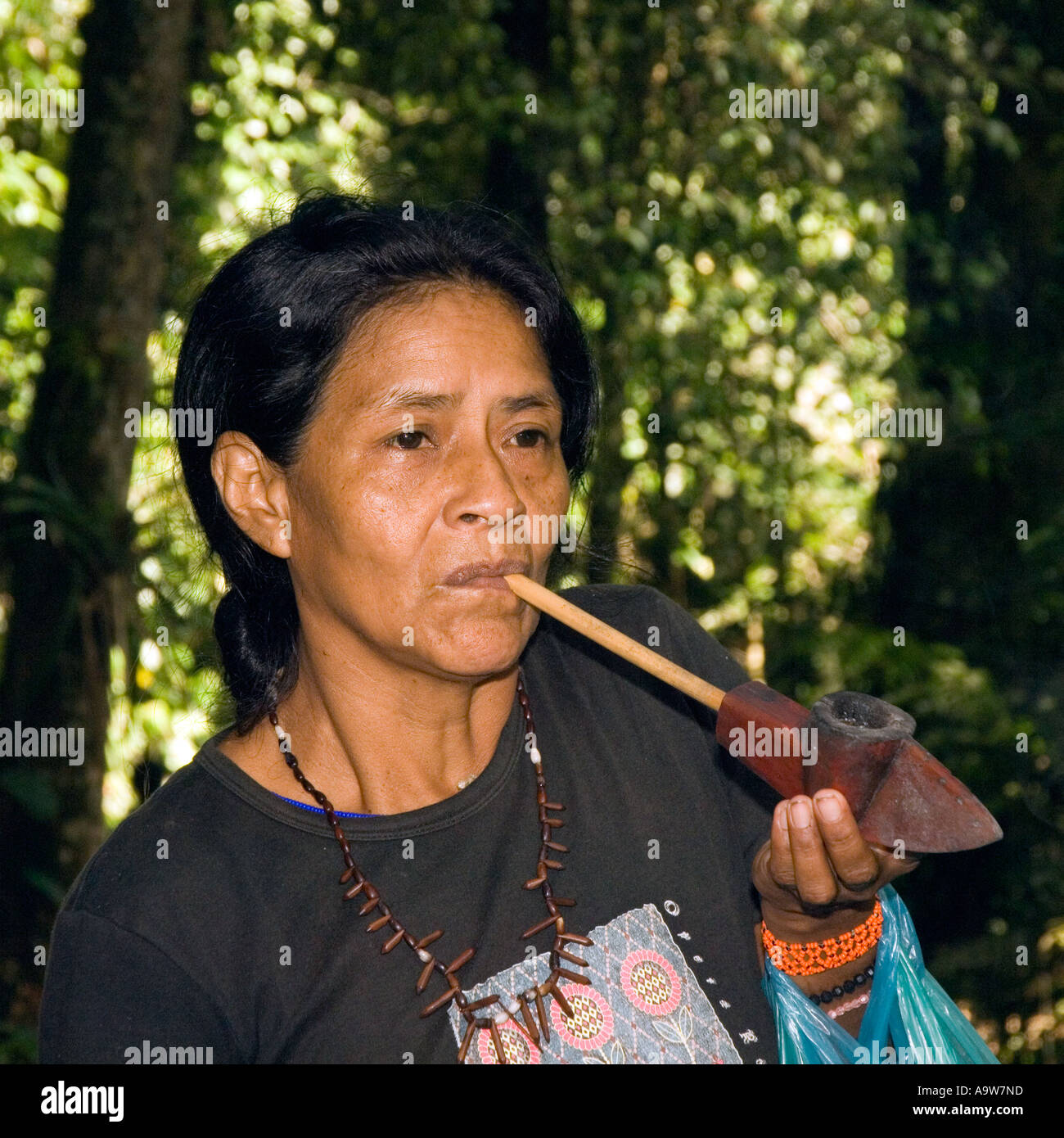 Guarani woman smoking a pipe in the Atlantic Rainforest village of Boa Vista Sao Paulo State Brazil Stock Photo