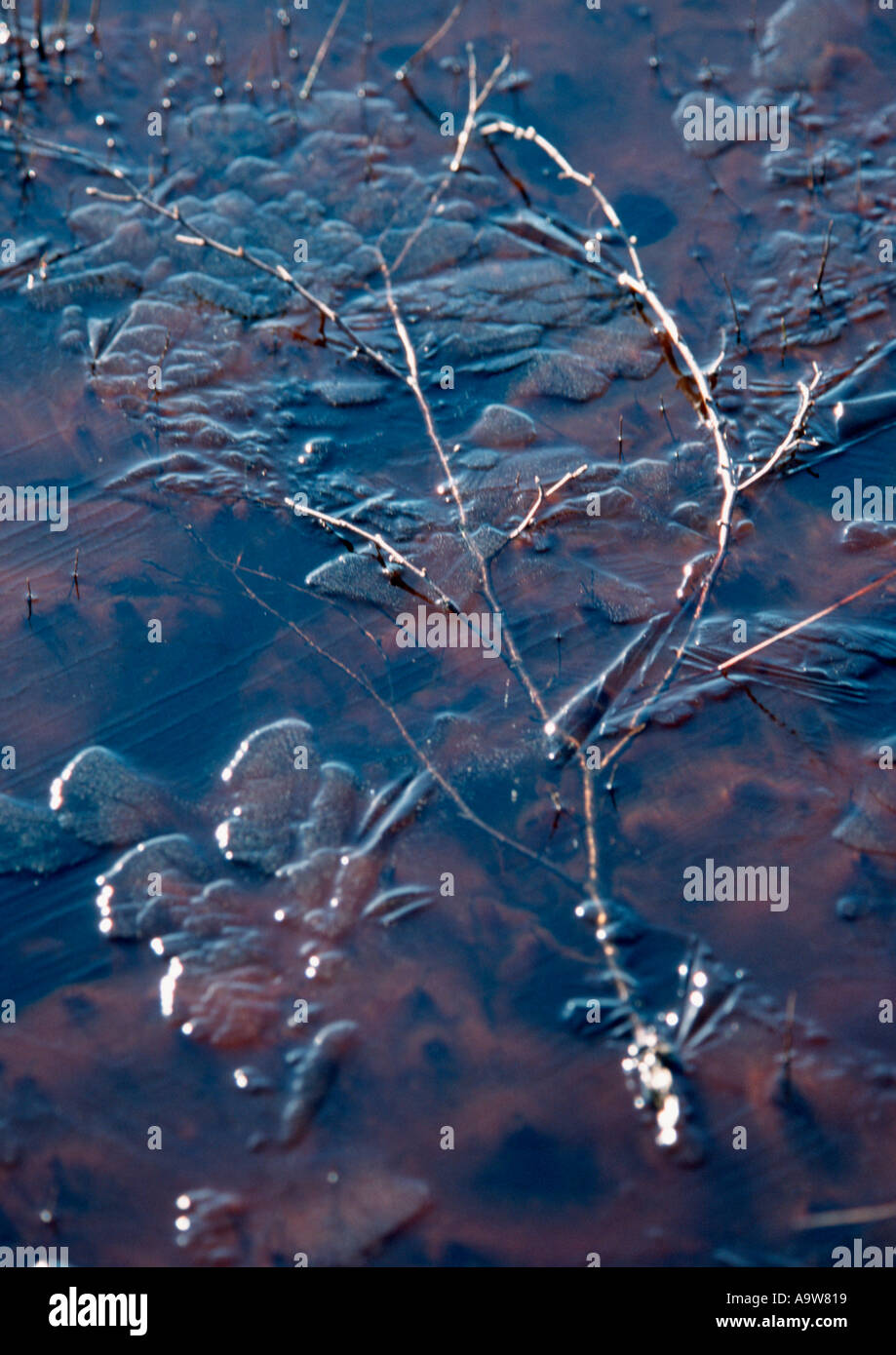 Detail of the surface of a frozen lake Stock Photo