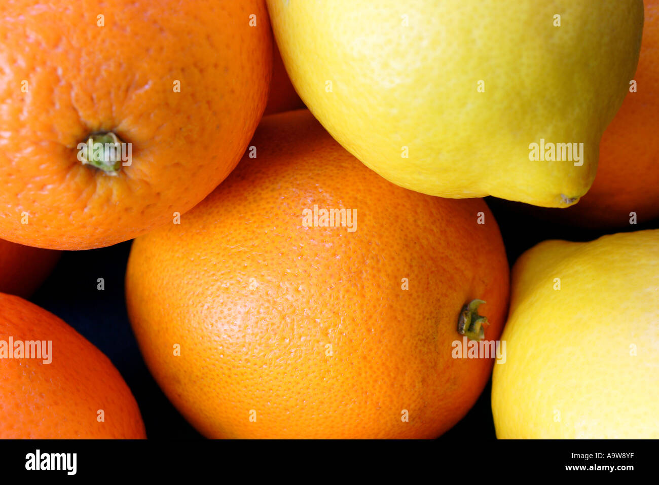 orange and lemons Stock Photo Alamy