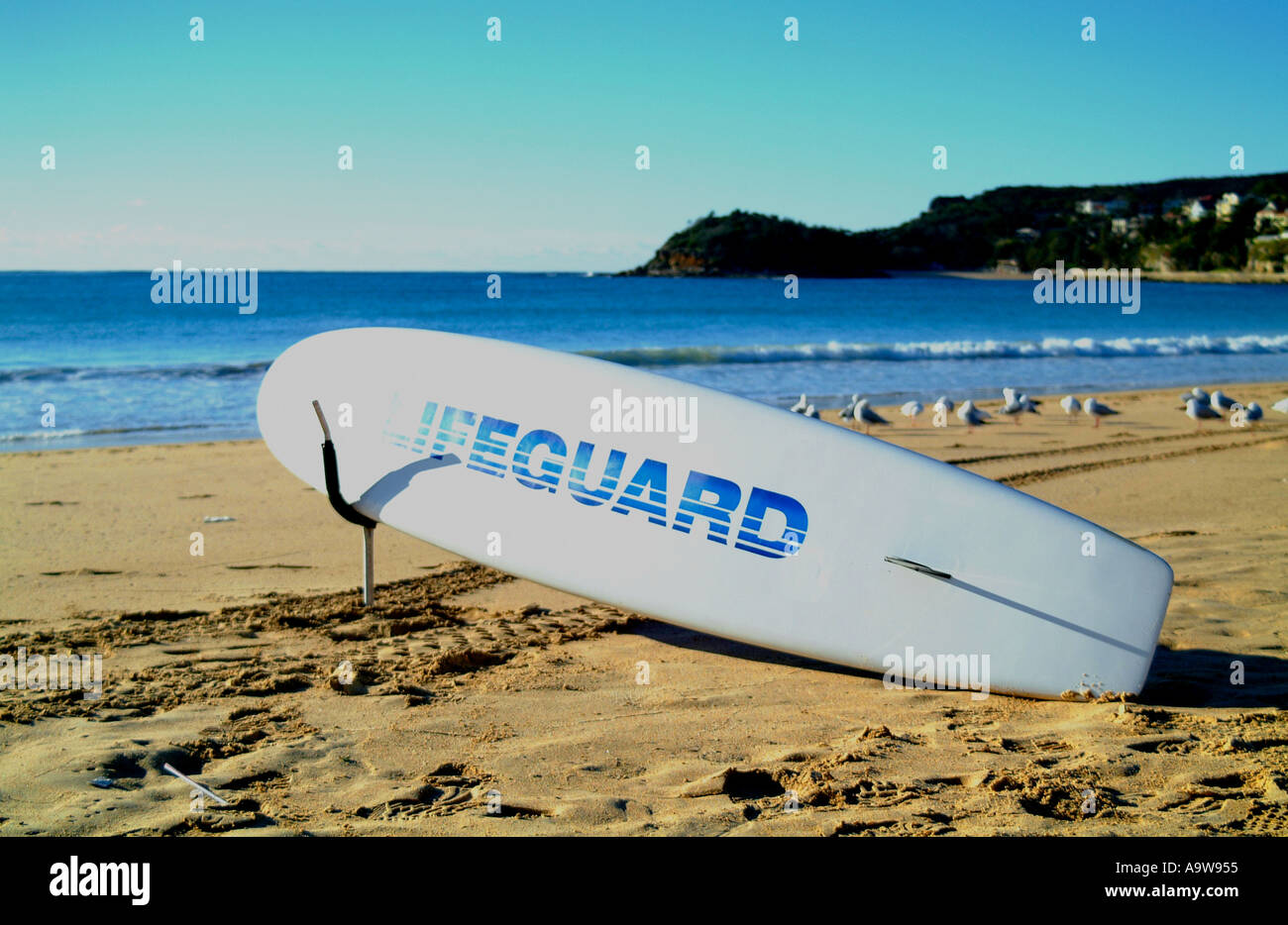 Life guard surf board on Manly beach Stock Photo