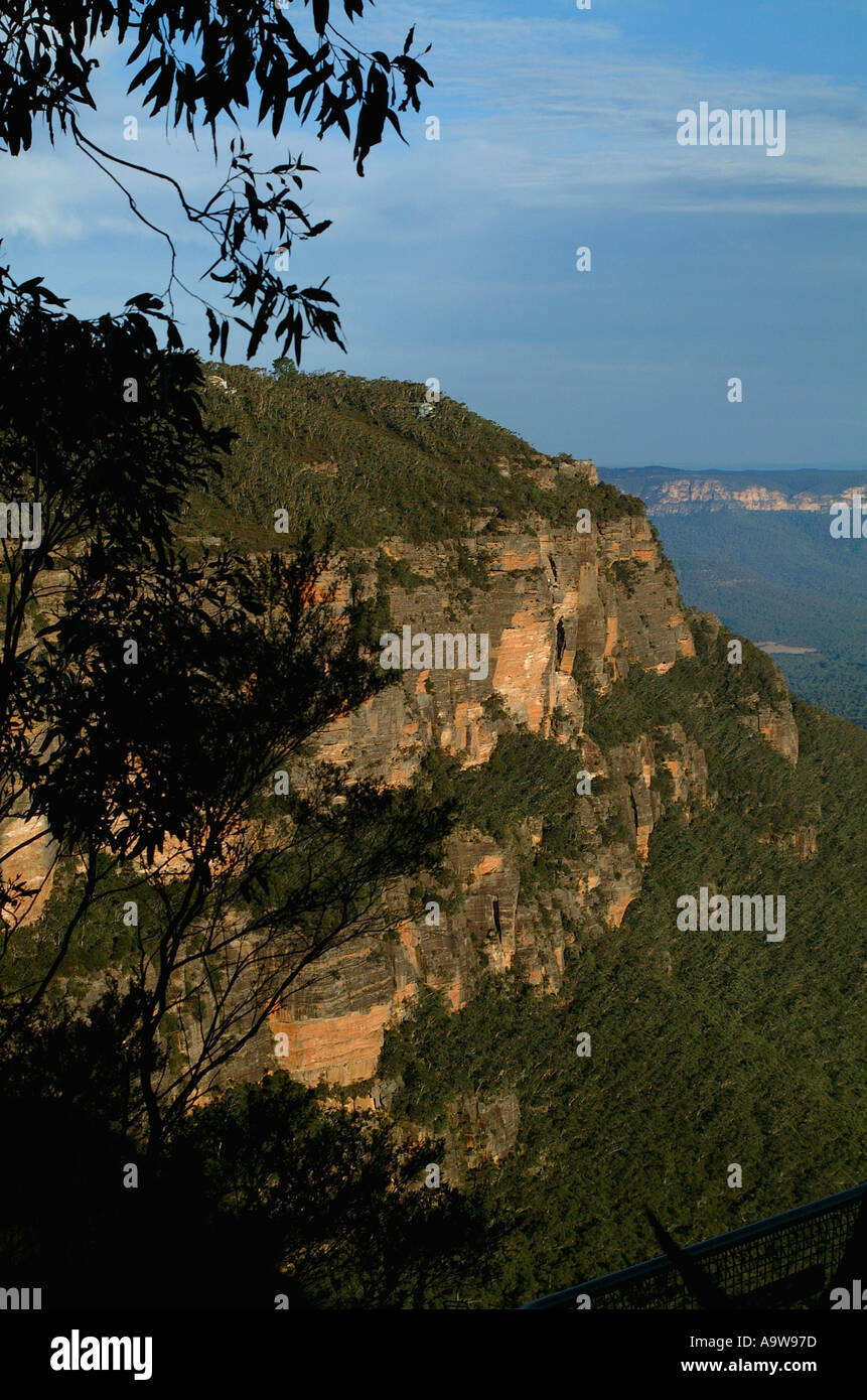 Scenic Blue mountains with tree in foreground Stock Photo
