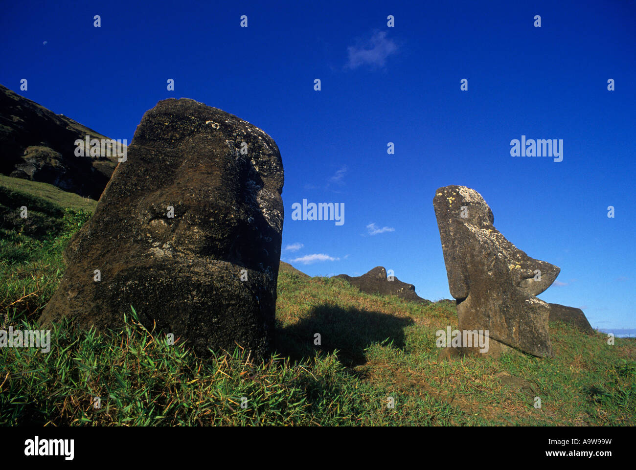 1993 HISTORICAL STONE MOAI HEAD STATUES RANO RARAKU EASTER ISLAND RAPA