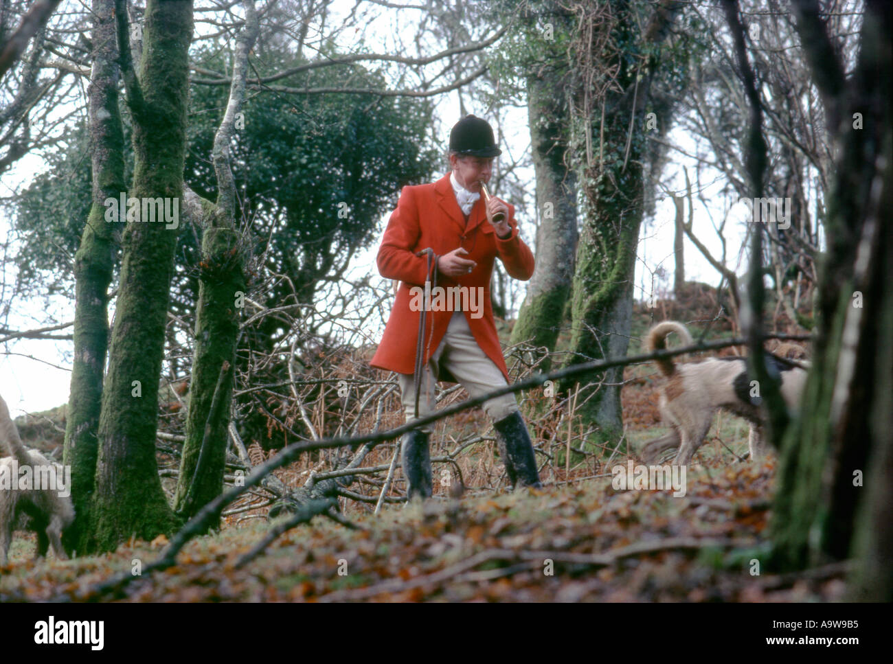 red coat fox hunting