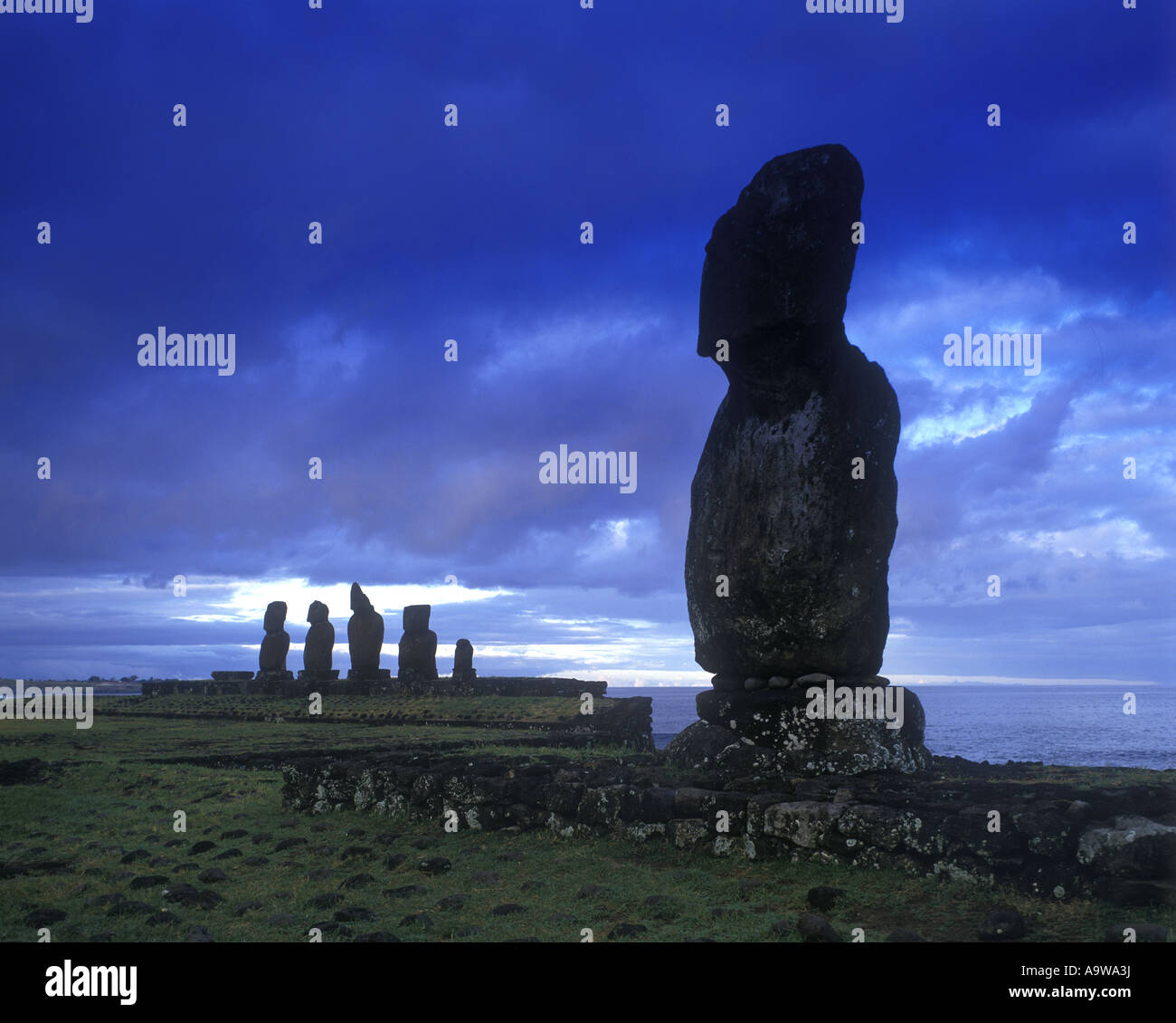 STONE MOAI HEAD STATUES HEADS AHU TAHAI KOTE RIKU EASTER ISLAND RAPA