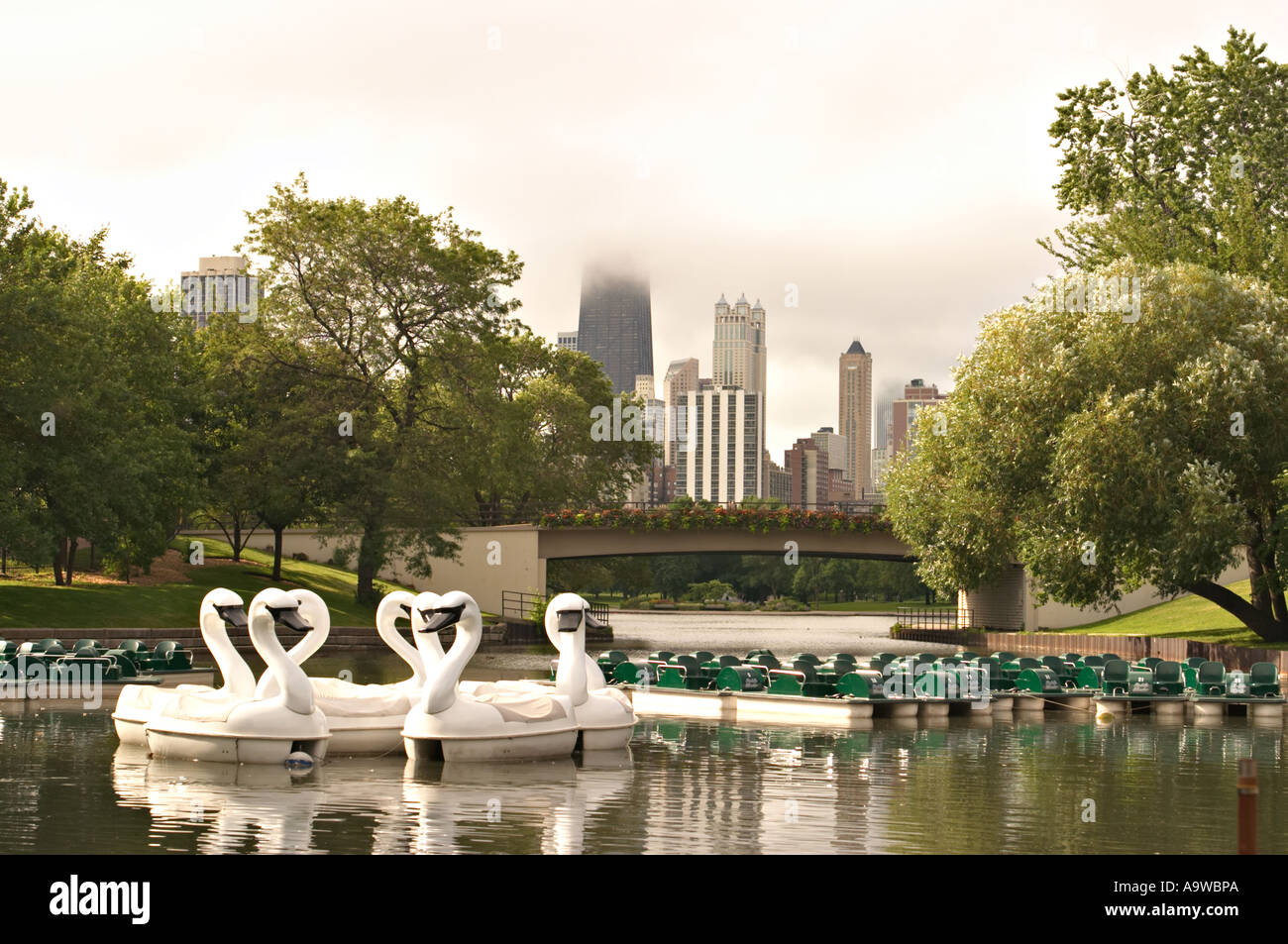 ZOOS Chicago Illinois White swan boats and paddle boats on lagoon at