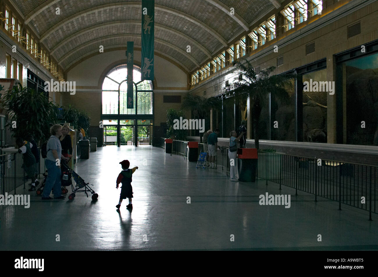 ZOOS Chicago Illinois Young boy in Kovler Lion House Lincoln Park Zoo ...