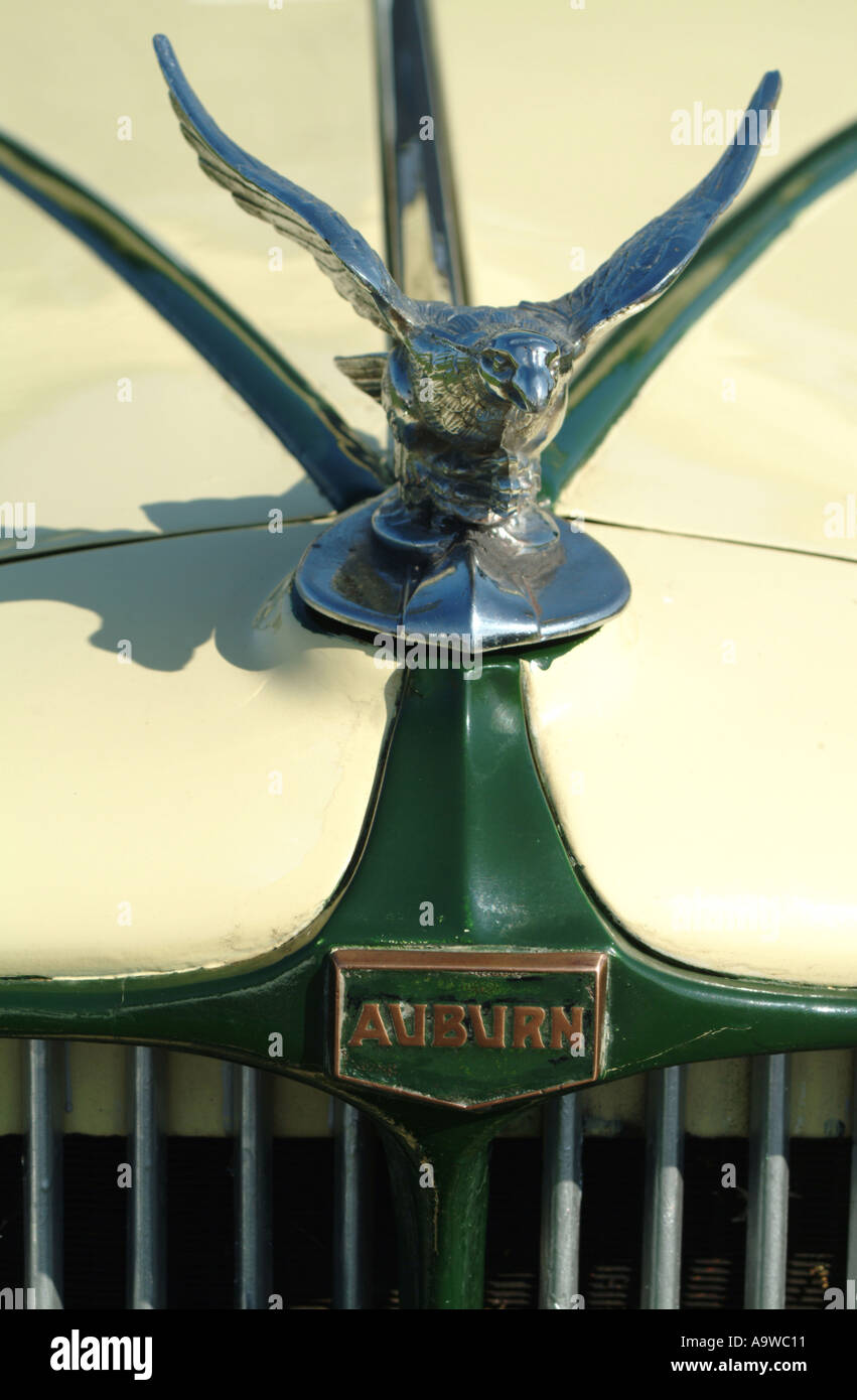 Mascot of Auburn Car radiator Stock Photo Alamy