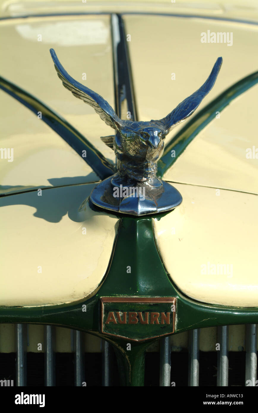 Mascot of Auburn Car radiator Stock Photo Alamy