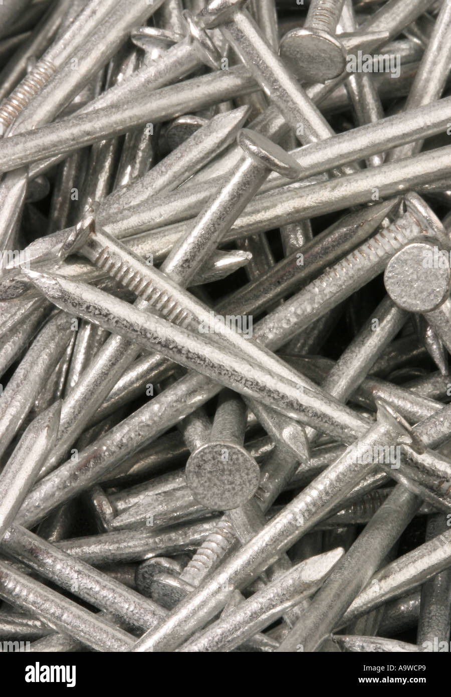Galvanised Metal Nails Stock Photo Alamy
