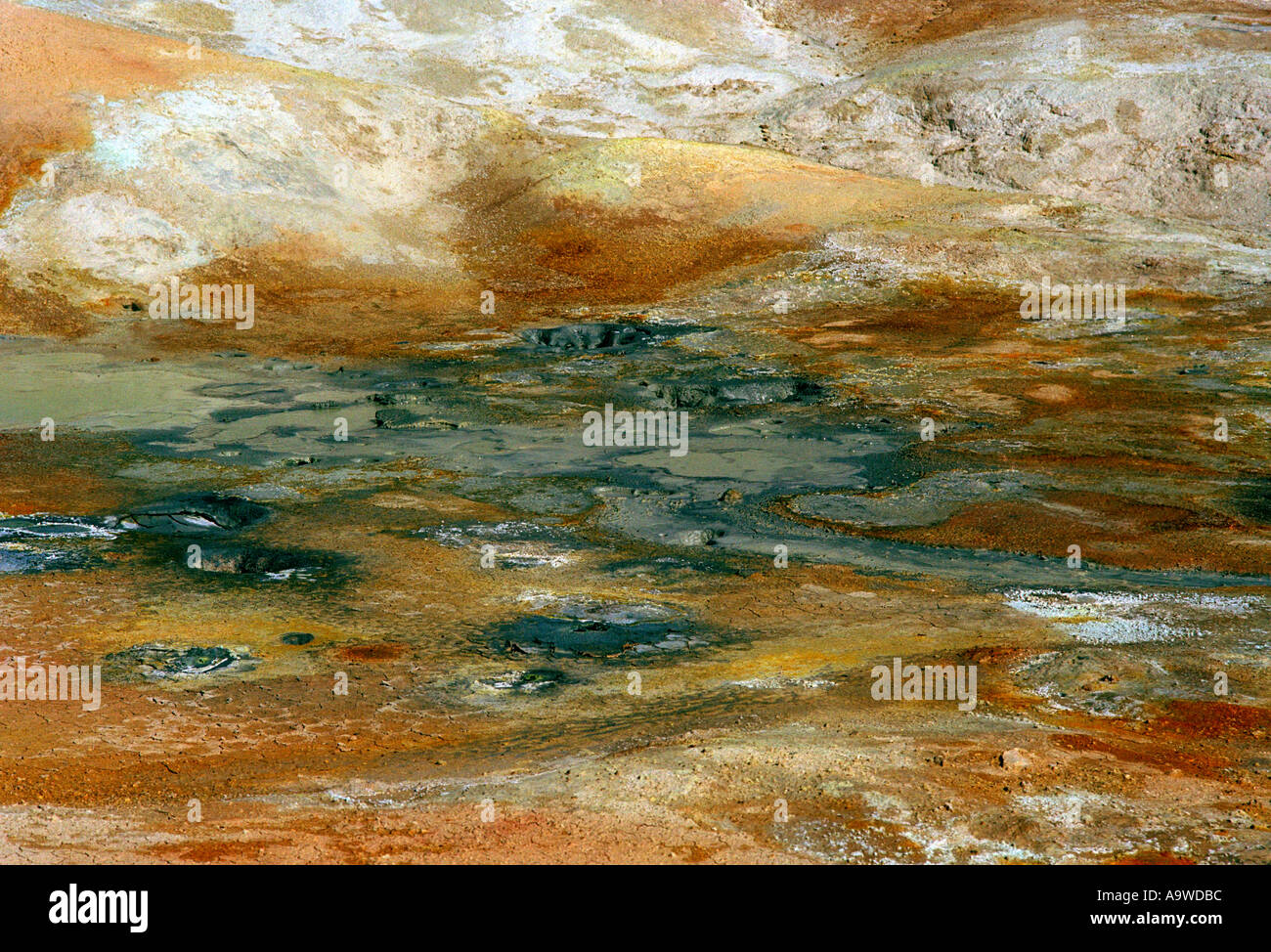 Close up of Geothermal Springs in Deildartunguhver Iceland Stock Photo